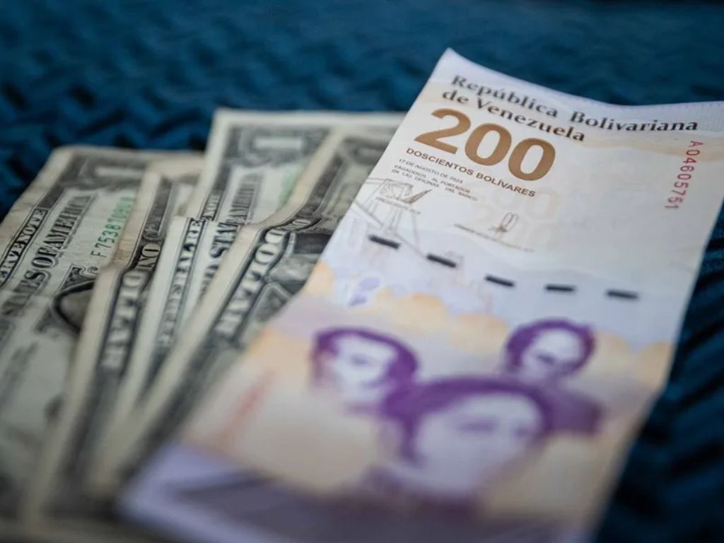Venezuela Dolarización privatización